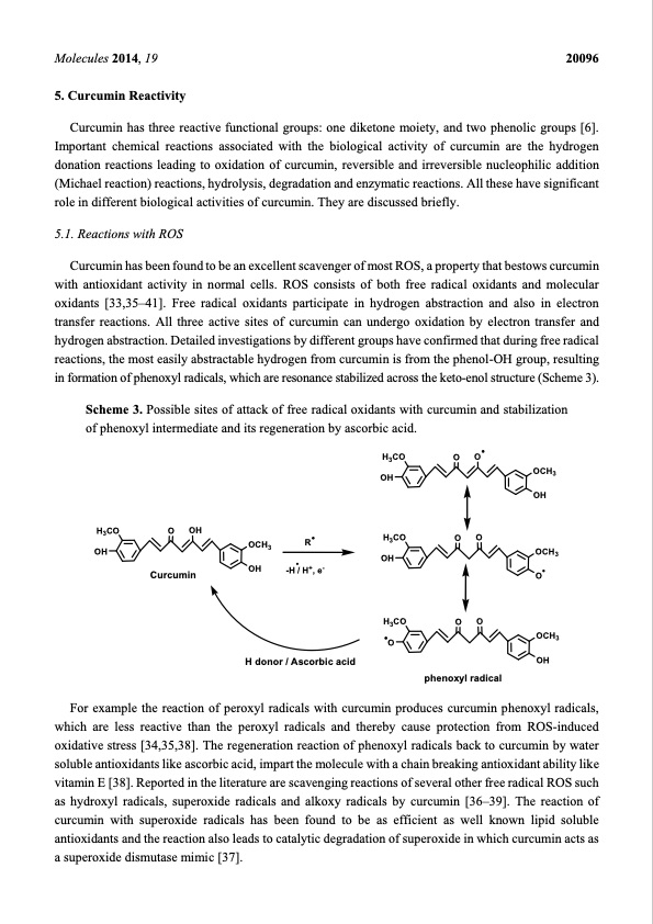 curcumin-from-extraction-therapeutic-agent-006