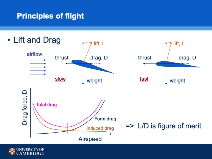 hybrid-power-light-aircraft-design-considerations-and-experi-005