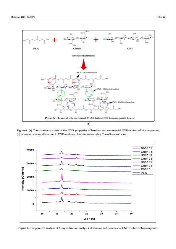 supercritical-carbon-dioxide-isolation-cellulose-nanofibre-013