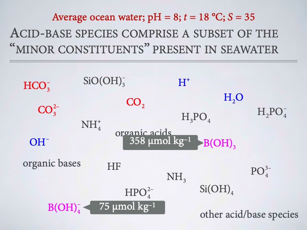 introduction-to-co2-chemistry-in-sea-water-013