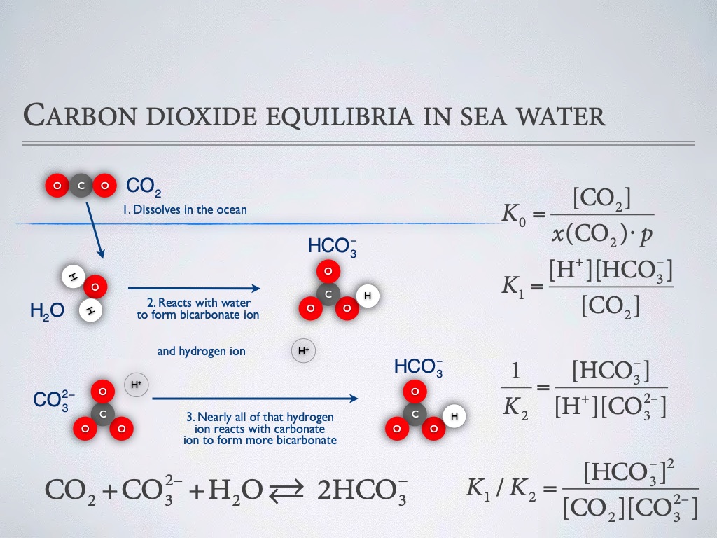 introduction-to-co2-chemistry-in-sea-water-017