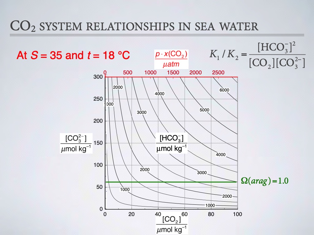 introduction-to-co2-chemistry-in-sea-water-021