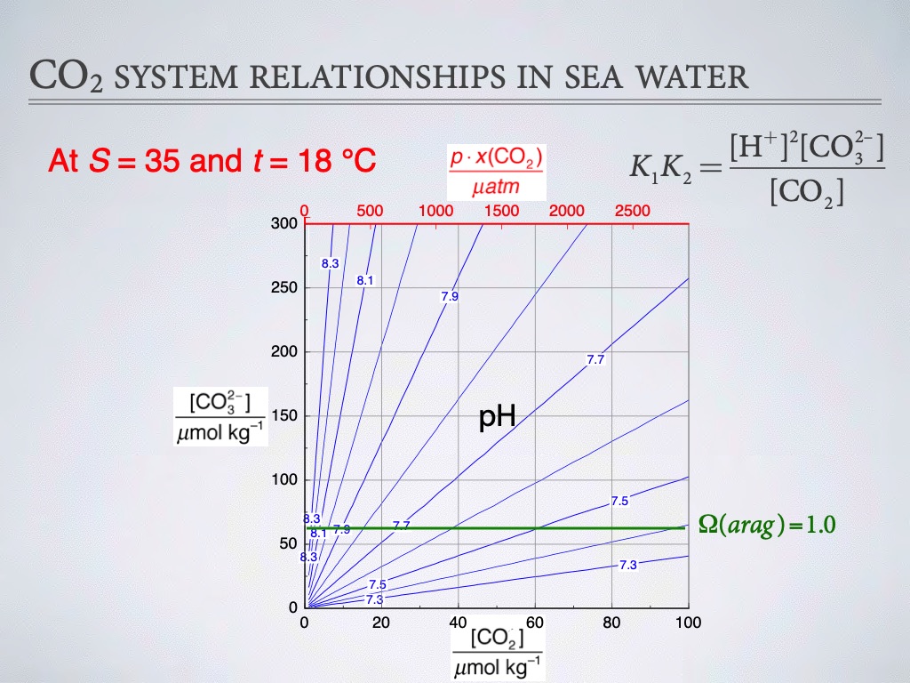 introduction-to-co2-chemistry-in-sea-water-022