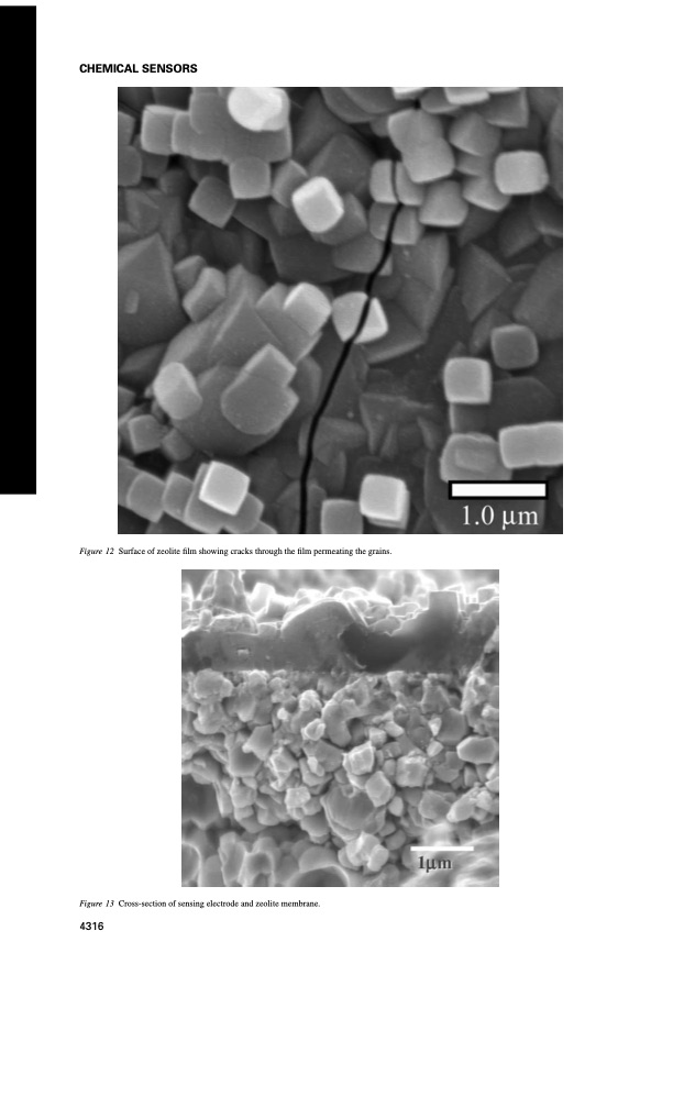 development-selective-gas-sensor-utilizing-zeolite-membrane-010