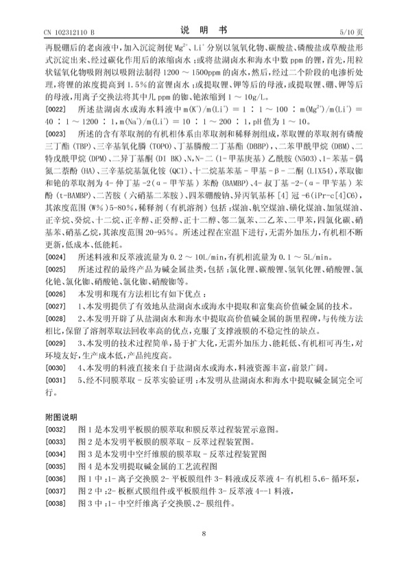 chinese-patent-01-008