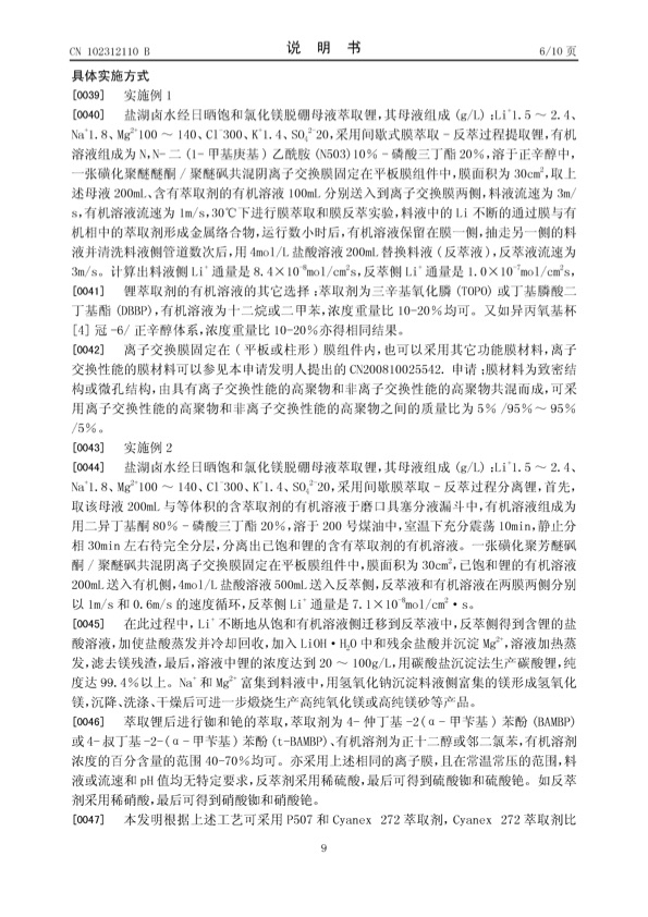 chinese-patent-01-009