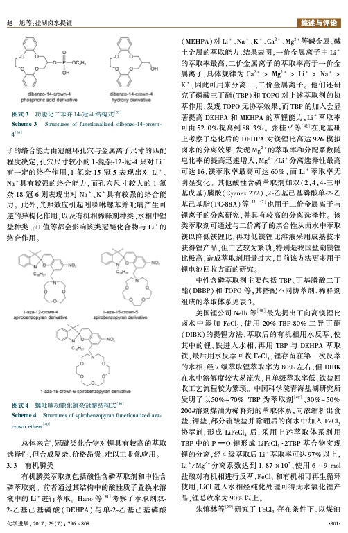 extraction-lithium-from-salt-lake-brine-006