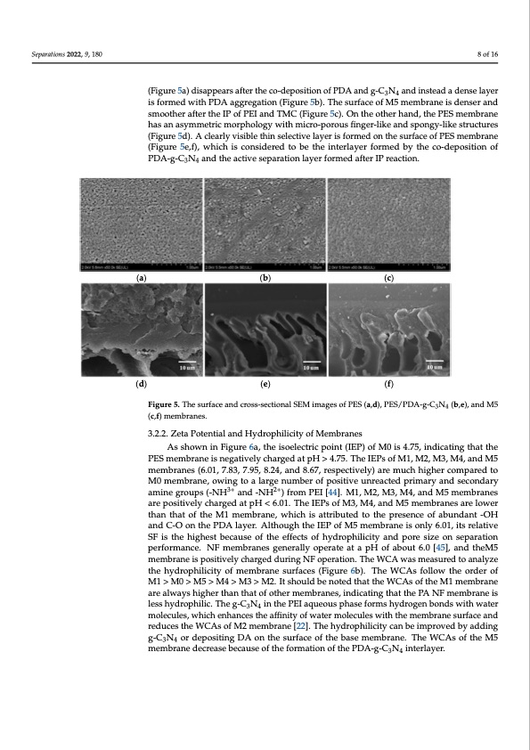 nanofiltration-membrane-using-polydopamine-carbon-nitride-008