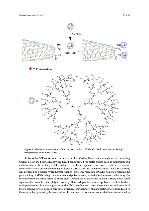 carbon-nanohorn-based-electrocatalysts-energy-conversion-015