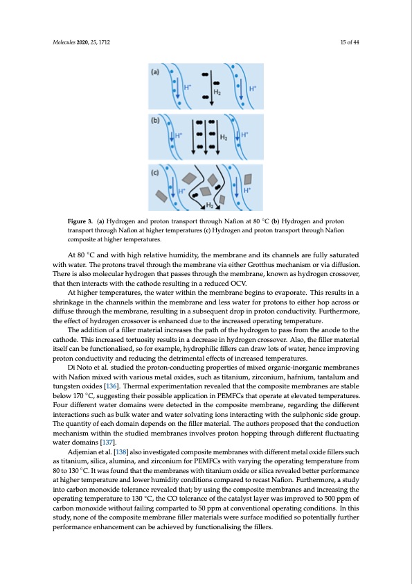 composite-polymers-electrolyte-membrane-technologies-015