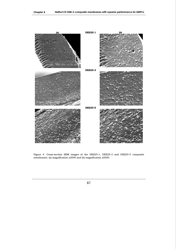 development-membrane-materials-direct-methanol-fuel-cells-069