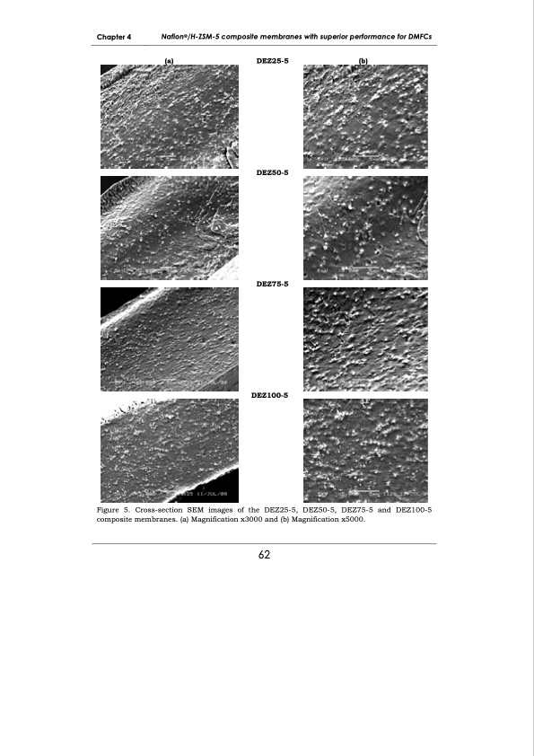 development-membrane-materials-direct-methanol-fuel-cells-070
