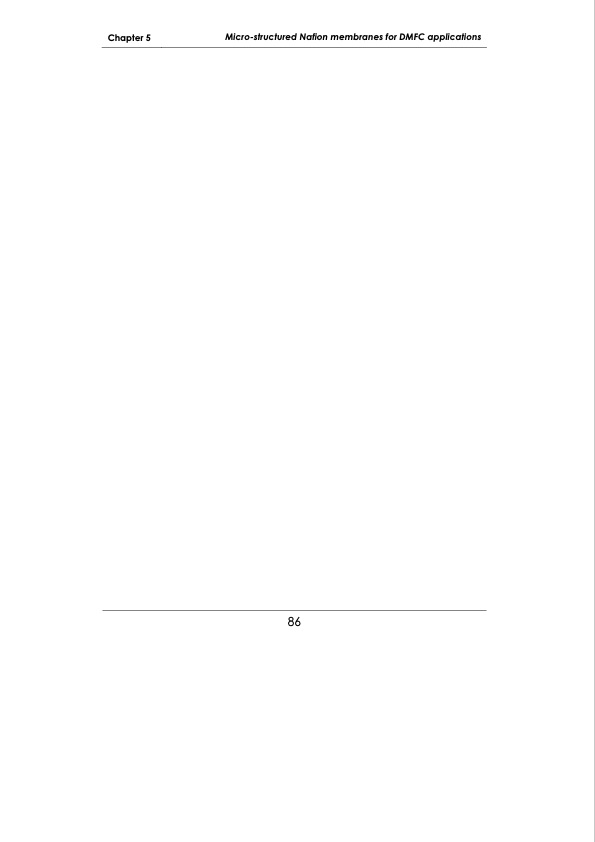 development-membrane-materials-direct-methanol-fuel-cells-094