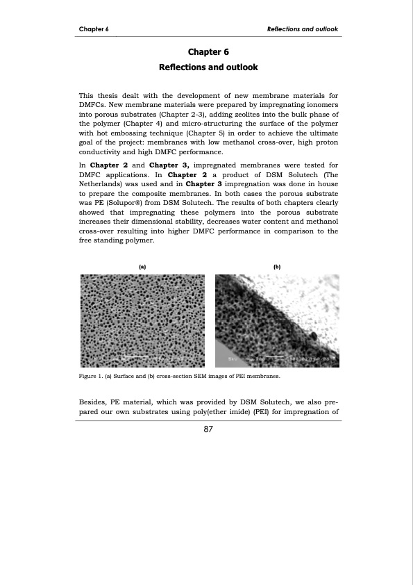 development-membrane-materials-direct-methanol-fuel-cells-095