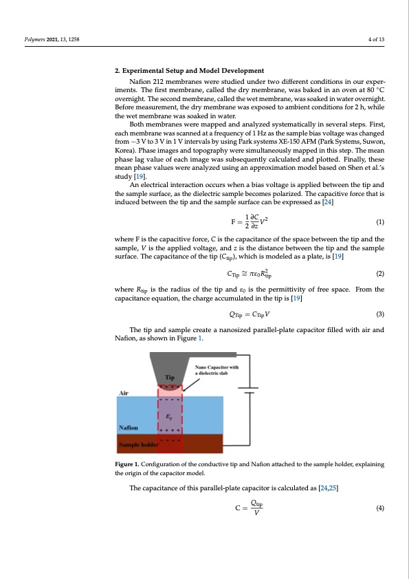 ionic-domains-proton-exchange-membrane-electrostatics-004