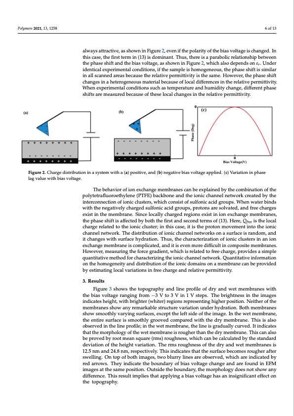 ionic-domains-proton-exchange-membrane-electrostatics-006