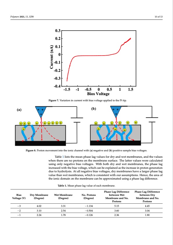 ionic-domains-proton-exchange-membrane-electrostatics-010