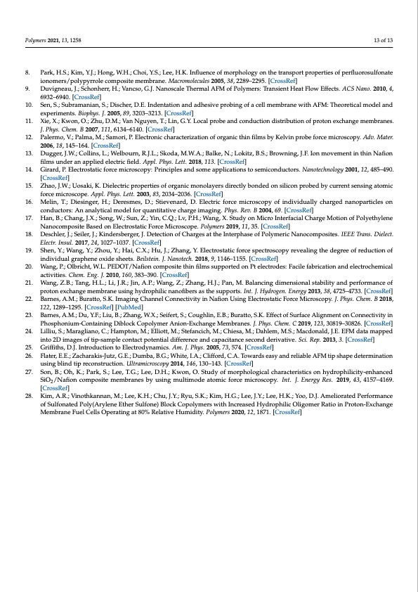 ionic-domains-proton-exchange-membrane-electrostatics-013