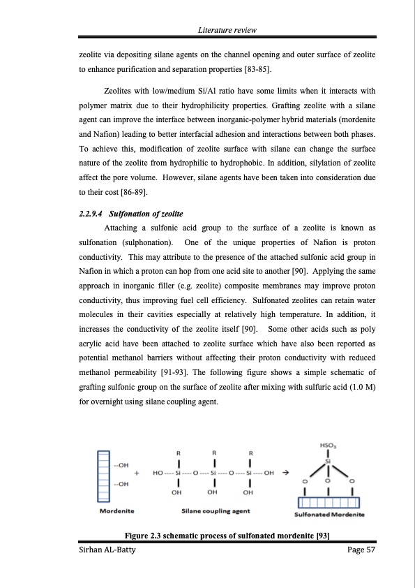 membrane-electrode-assembly-modification-by-zeolite-and-grap-057