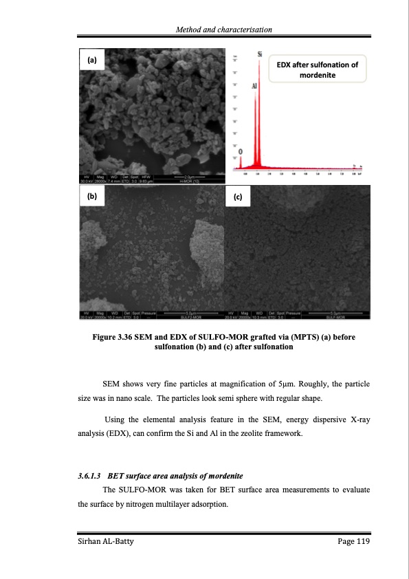 membrane-electrode-assembly-modification-by-zeolite-and-grap-119