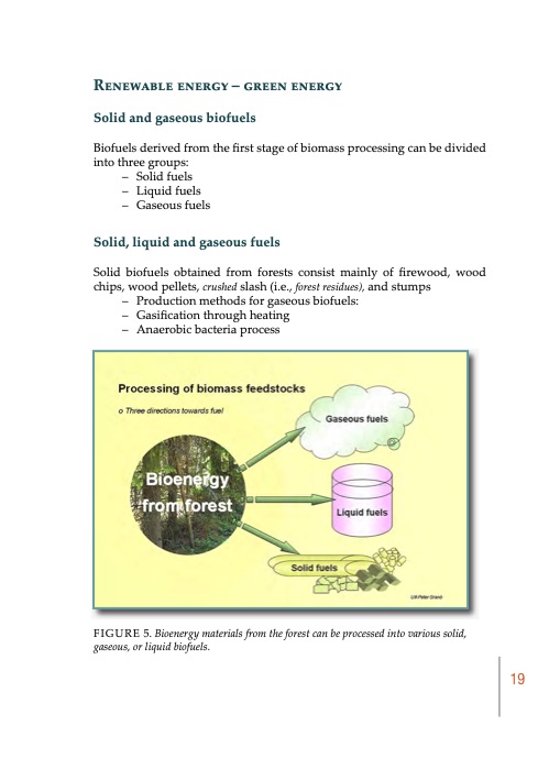 biomass-to-energy-and-chemicals-highbio2-project-publication-020