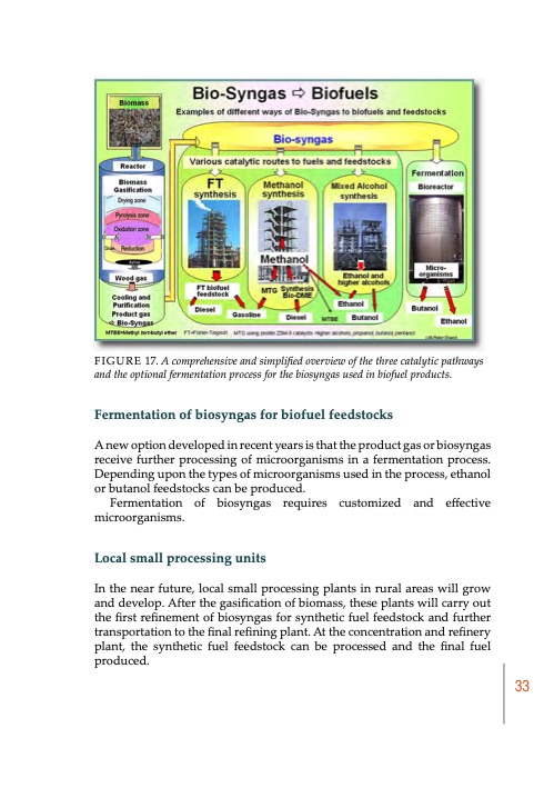 biomass-to-energy-and-chemicals-highbio2-project-publication-034