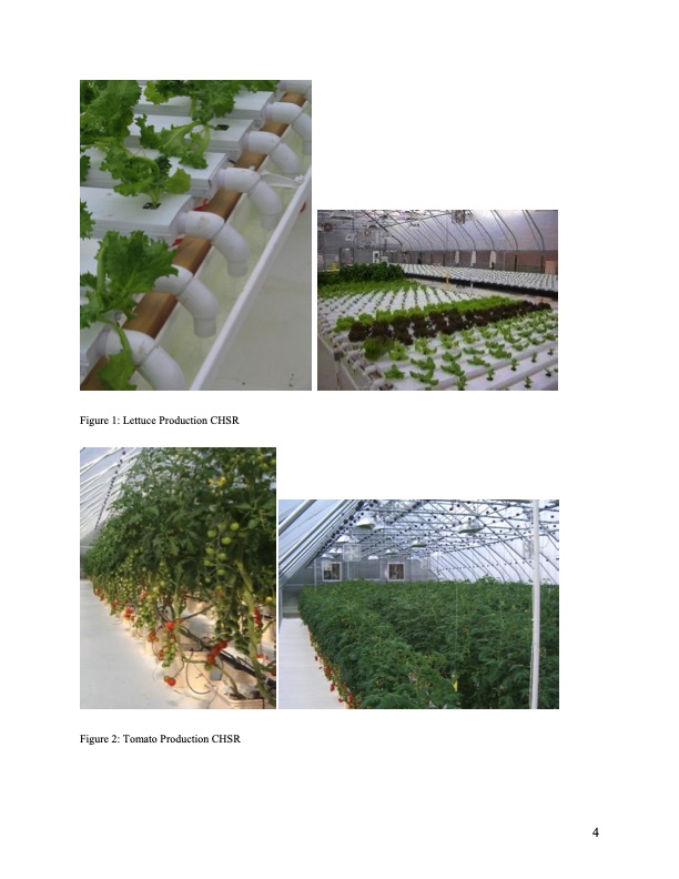 economics-greenhouse-production-in-alaska-004