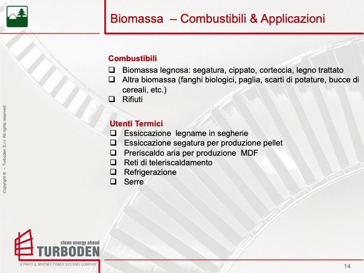 biomasse-ad-uso-energetico-014