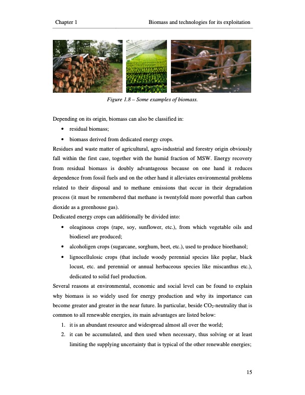small-scale-biomass-power-generation-043