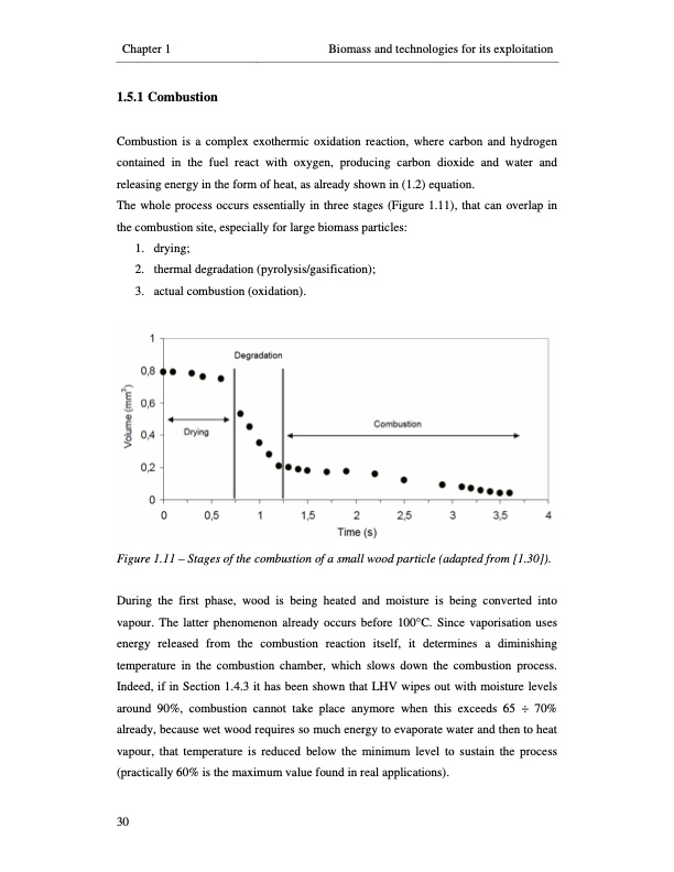 small-scale-biomass-power-generation-058