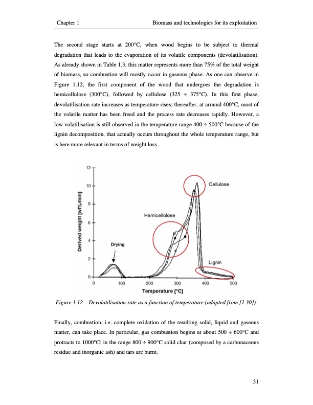 small-scale-biomass-power-generation-059