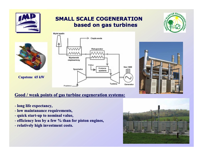 biomass-biogas-cogeneration-systems-006