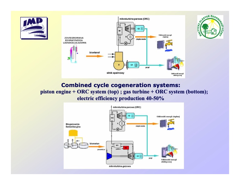 biomass-biogas-cogeneration-systems-010