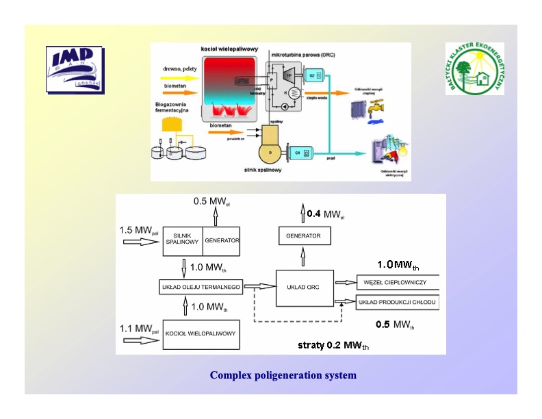 biomass-biogas-cogeneration-systems-011