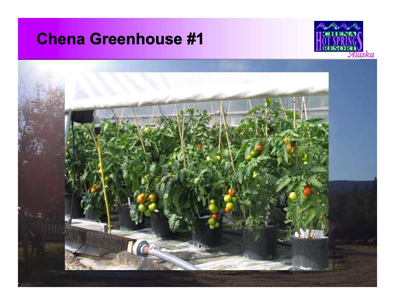 renewable-energy-and-waste-heat-utilization-greenhouse-use-024
