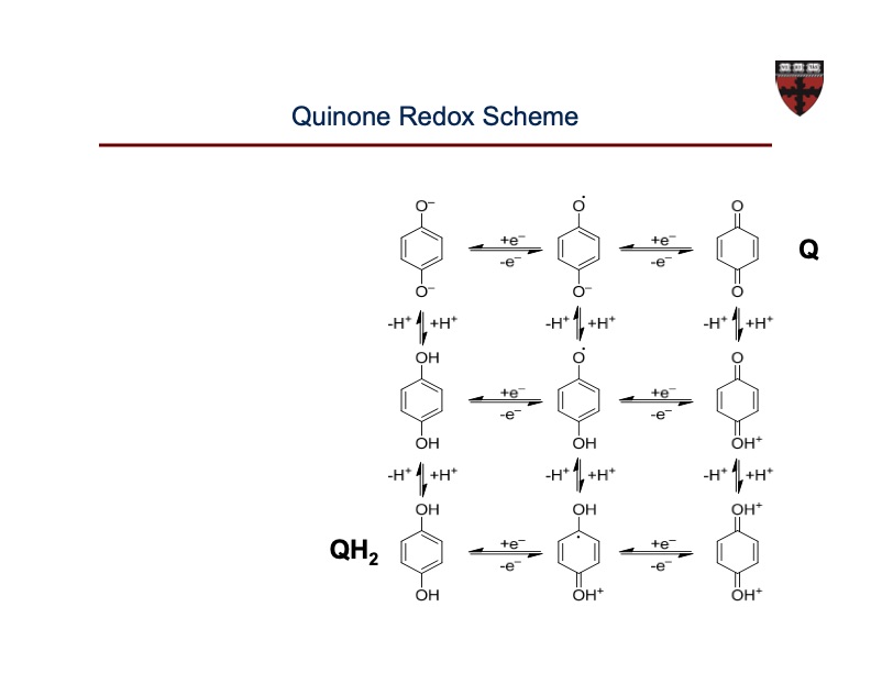 organic-based-aqueous-flow-batteries-massive-energy-067