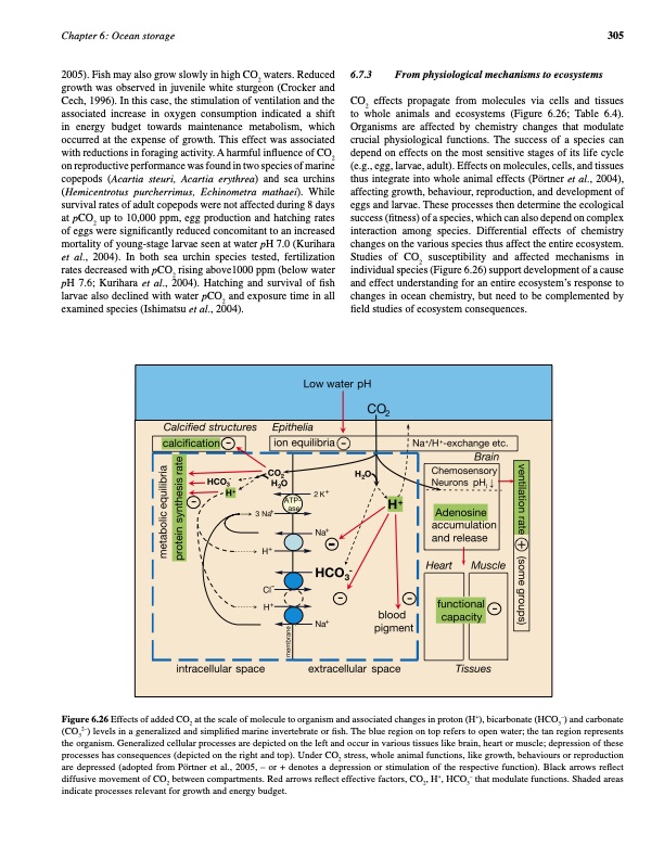 carbon-dioxide-capture-and-storage-317