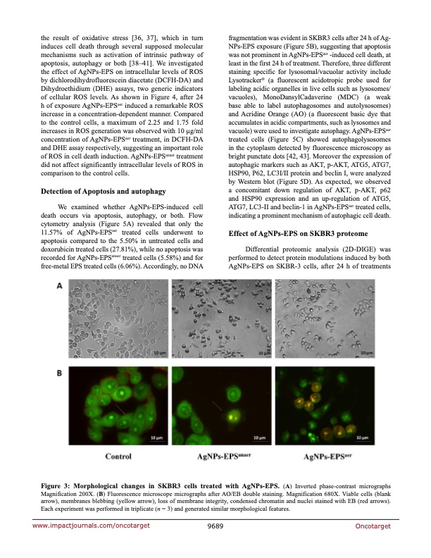 anticancer-activity-biogenerated-silver-nanoparticles-005