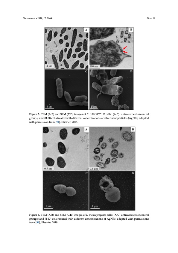 bactericidal-antibacterial-mechanism-plant-nanoparticles-010