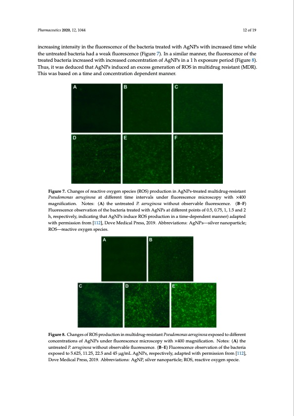 bactericidal-antibacterial-mechanism-plant-nanoparticles-012