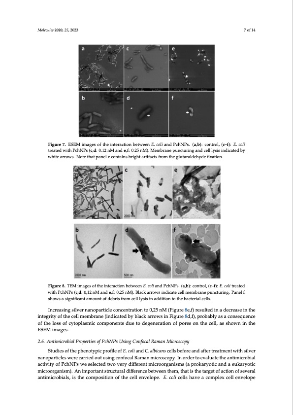biofilm-eradication-using-biogenic-silver-nanoparticles-007