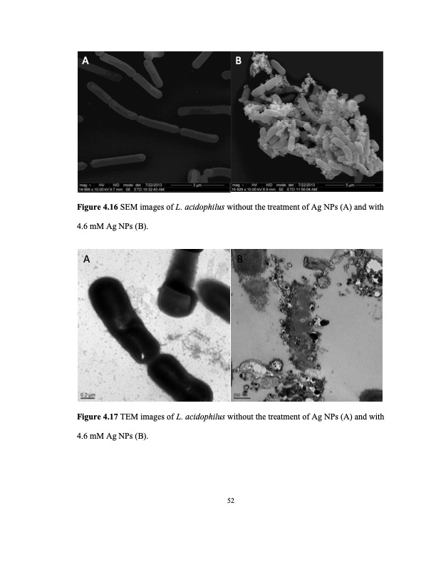zinc-oxide-and-silver-nanoparticles-on-intestinal-bacteria-063