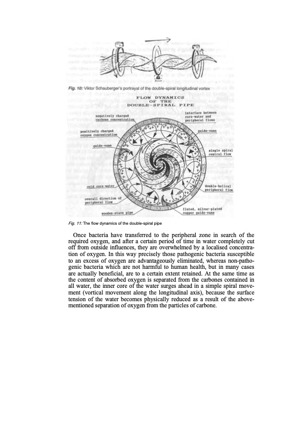 the-water-wizard-069