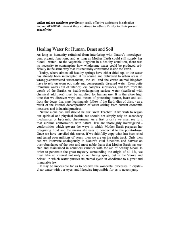 the-water-wizard-074