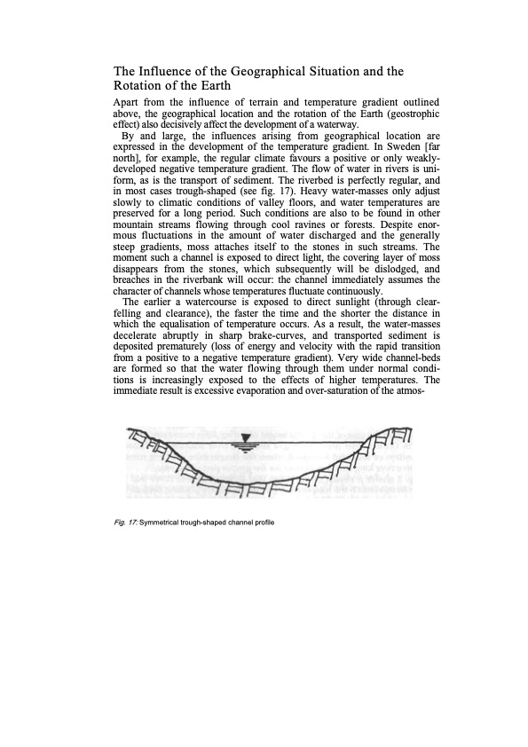 the-water-wizard-117