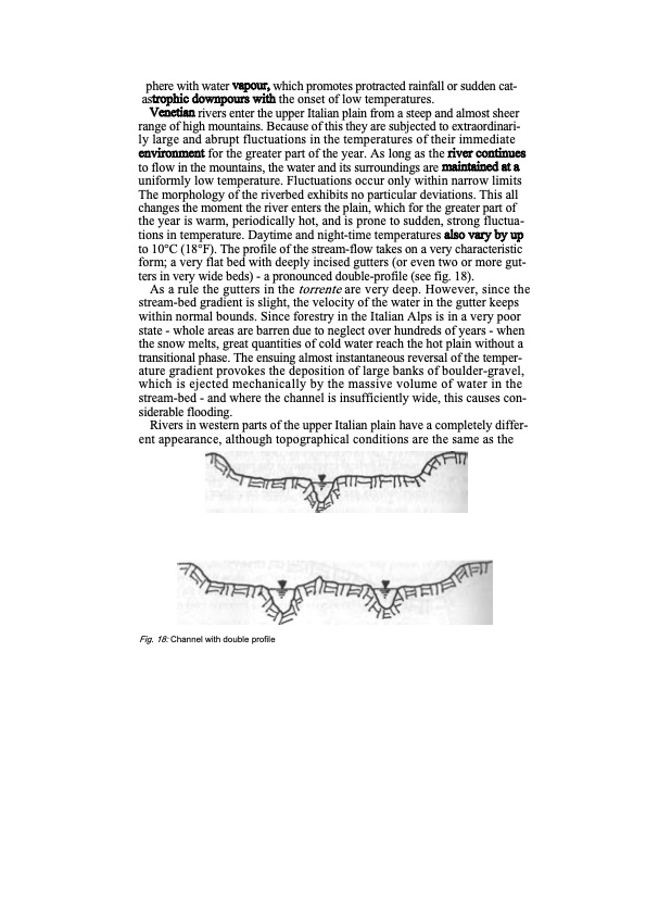 the-water-wizard-118