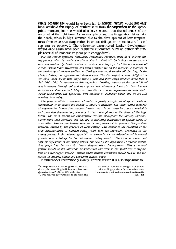 the-water-wizard-145