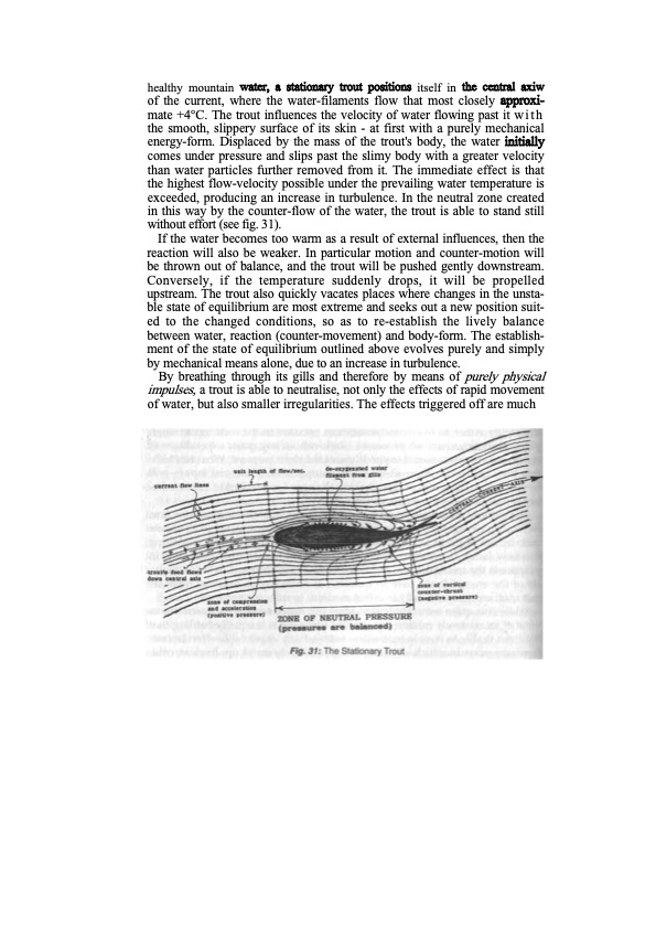 the-water-wizard-159