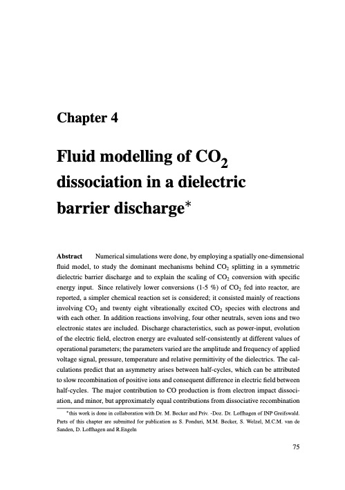 understanding-co2-containing-non-equilibrium-plasmas-084