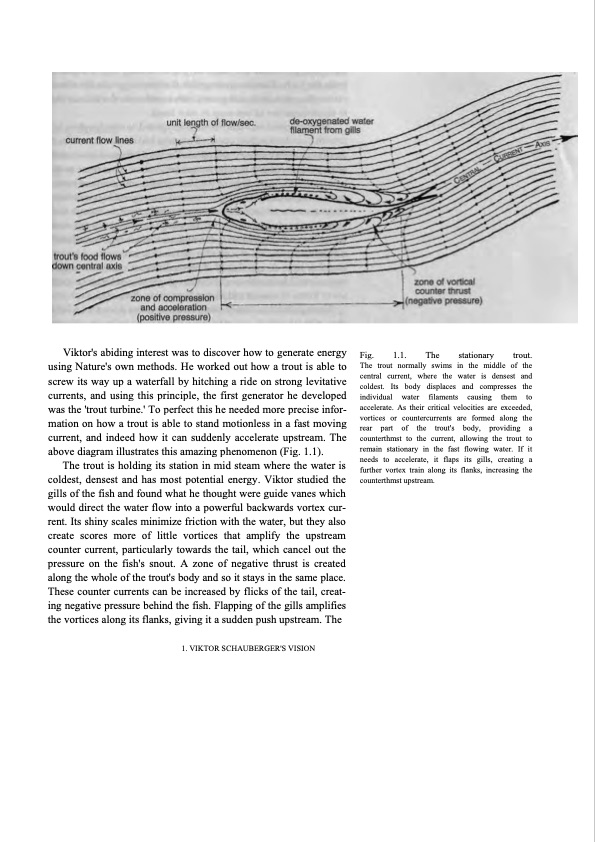 hidden-nature-insights-viktor-schauberger-020